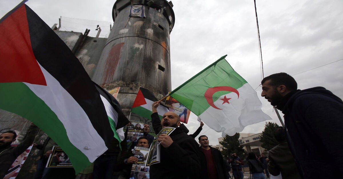 مصطفى-يوسف- اللداوي-يكتب-الجزائرُ-الغيورةُ-على-فلسطينَ-ترعى-حوارَ-تنظيماتِها